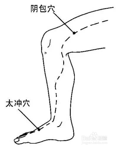 春天最棒的护肝法,不花一分钱