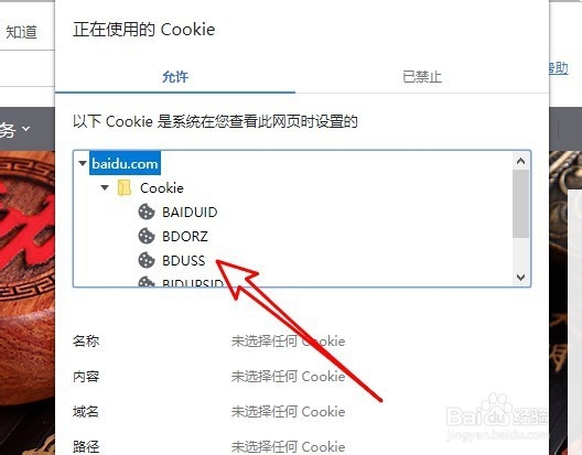 谷歌浏览器Chrome怎么样获取百度的BDUSS