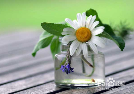 进入农历三伏天怎么保持身体健康？