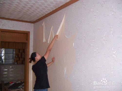 室内墙发霉！7招拯救你家墙面，跟霉说永别