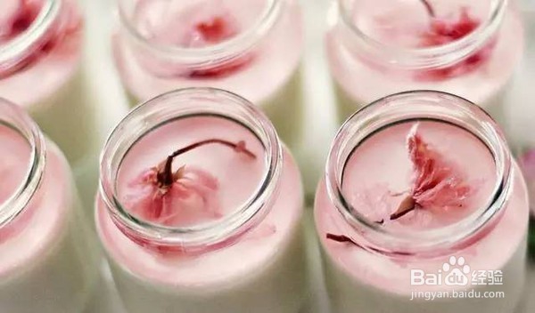 甜点的做法大全简单