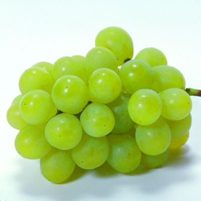 怎样减肥有效果