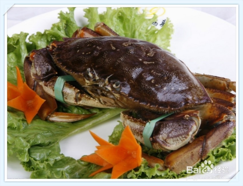 怎样挑选海鲜？