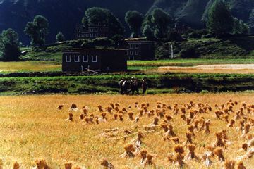 川藏自驾总攻略