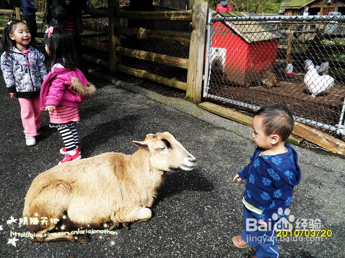拾海的孩子&亲亲小动物(组图)