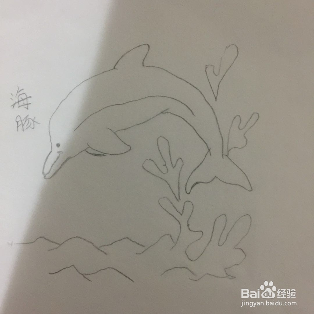 <b>如何画海豚</b>