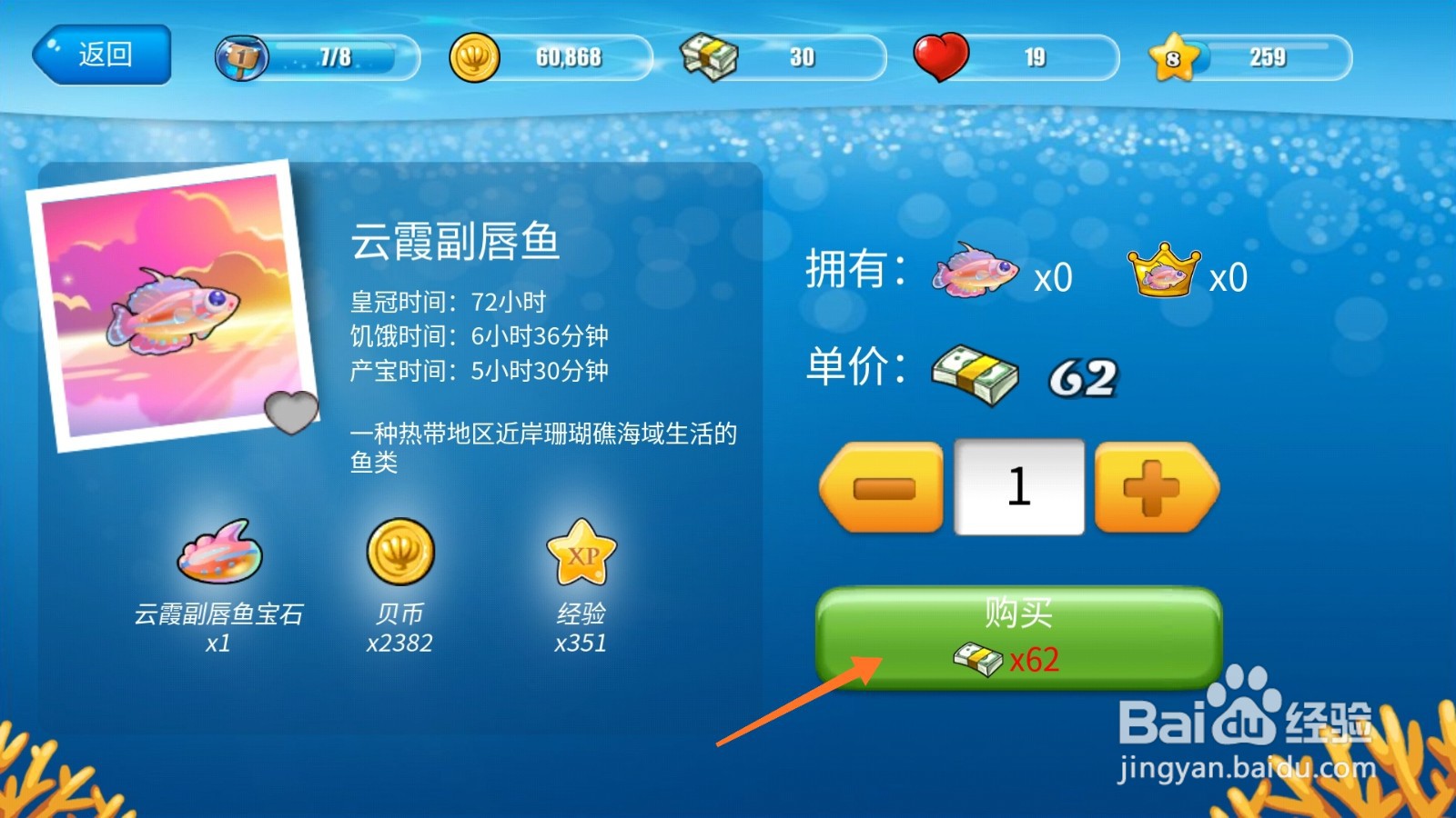 开心水族箱中怎么购买云霞副唇鱼
