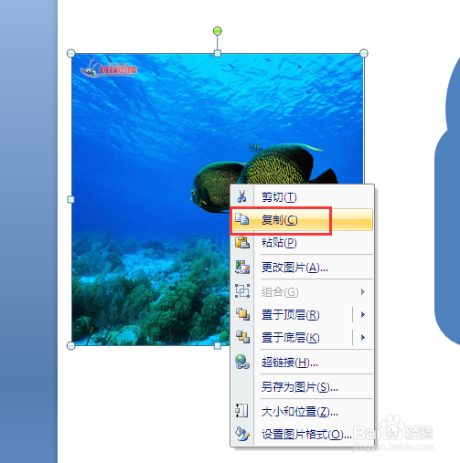 在PPT中怎样把图片裁剪成任意的形状?
