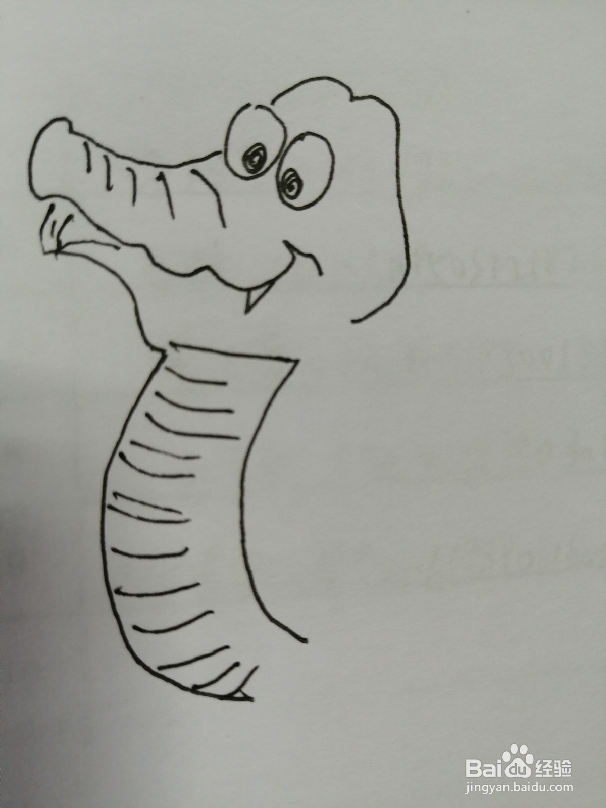 简笔画小鳄鱼怎么画