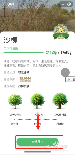 蚂蚁森林怎么申请种树