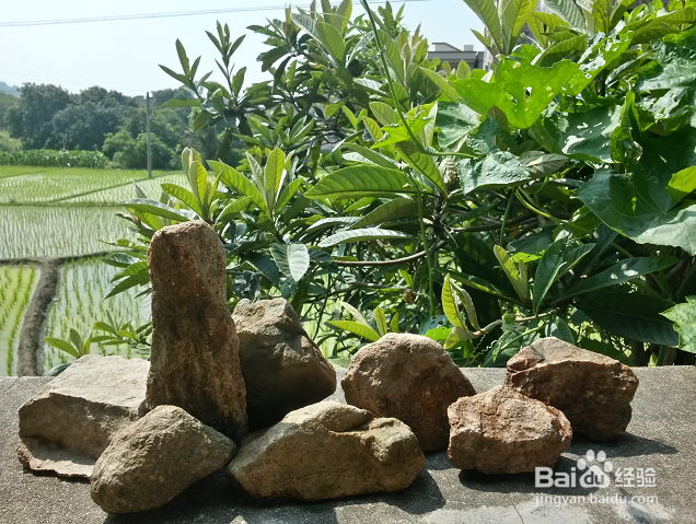 巧妙利用PS工具让普通的石头“妙石生花”