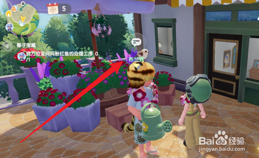 心动小镇怎么获得菠萝种子