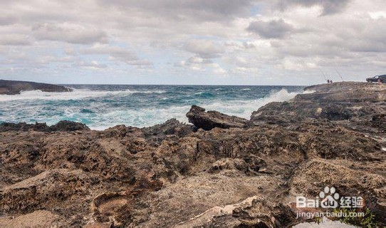 姜黄色的四种配色点亮你的秋冬衣橱!