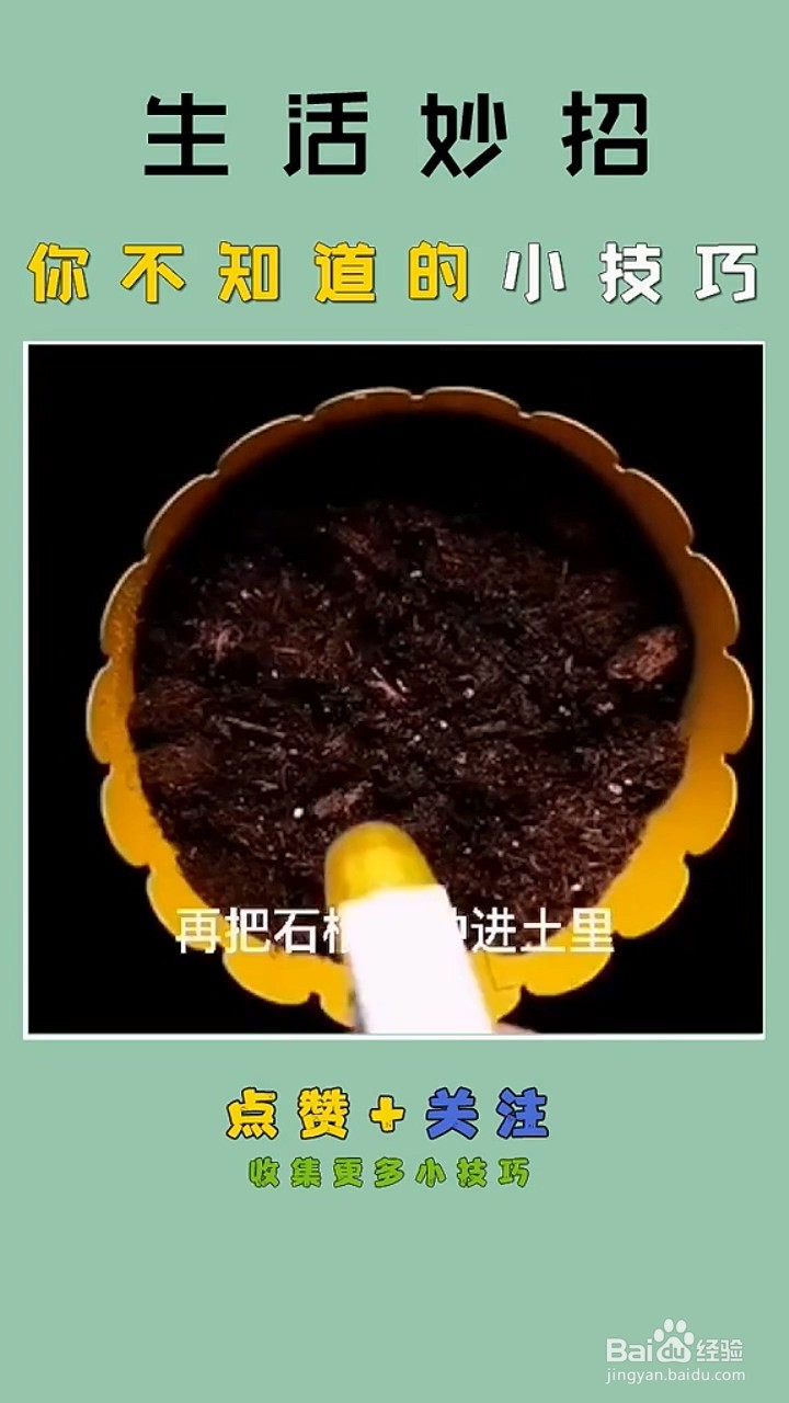 水果种植的小妙招