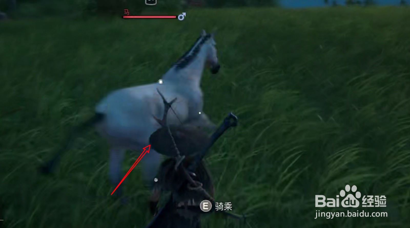 帝国神话怎样驯服马