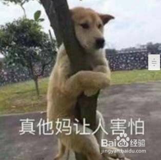 想对黑粉说的话