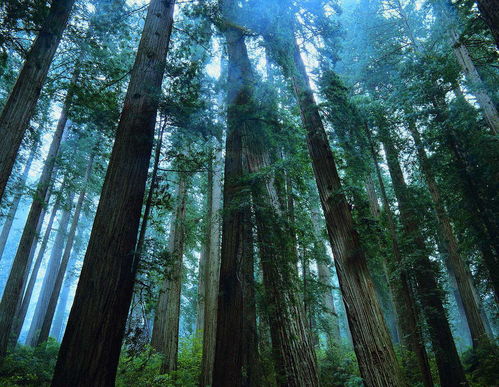 明确自己的需求镜头选购的经验之谈