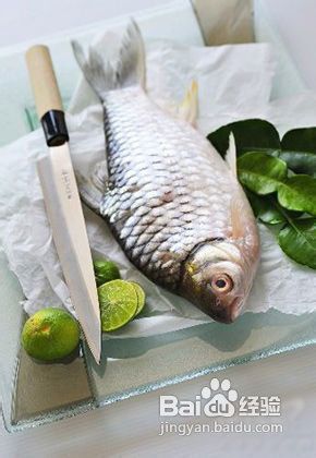 分享丰胸补血汤塑造S曲线