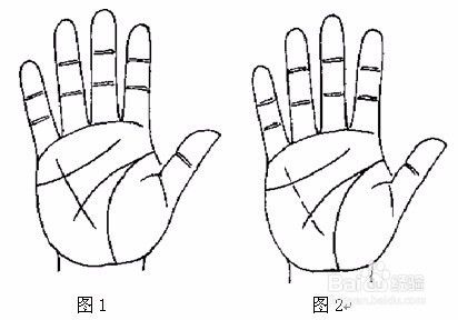 如何从掌纹判断健康,教你对在家健康了如指掌