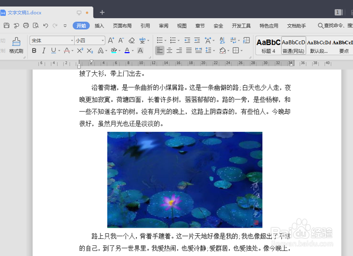 WPS技巧之如何让Word里可以显示图片但不打印