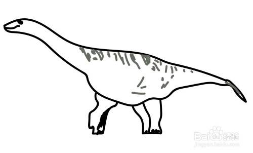 阿根廷龙简笔画