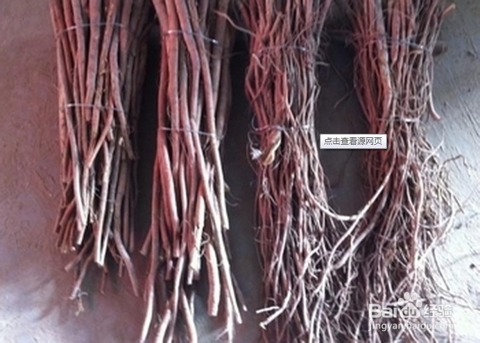 美女养颜：[4]中药养颜法（图解）