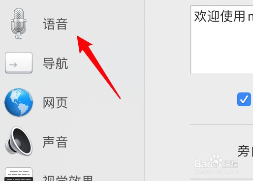 mac旁白怎么调整语音的速率