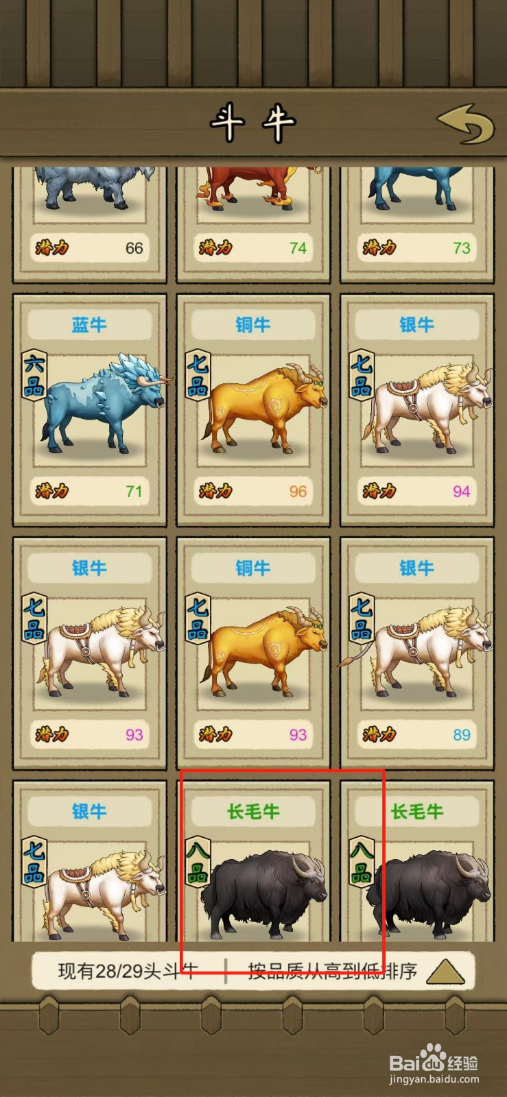 叫我养牛王如何放生长毛牛