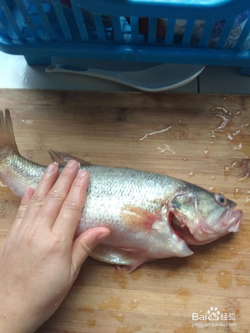 清蒸大鲈鱼家常做法