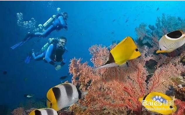 西哈努克港适合潜水的4个海岛
