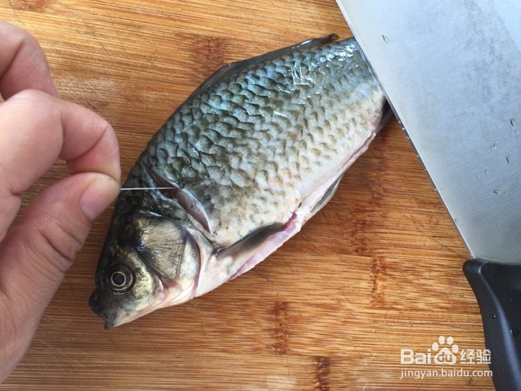 #初冬怎么吃#木瓜鲫鱼汤