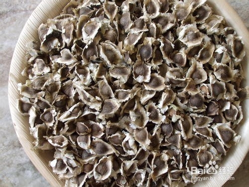 如何辨别和选购辣木籽——网上购买攻略