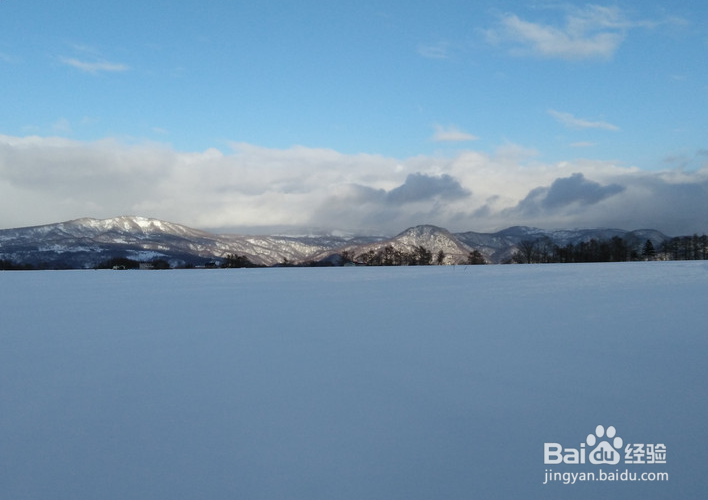 一条性价比爆棚的万元以下日本北海道观雪路线