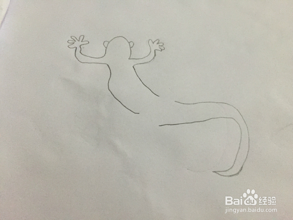 画画——画壁虎