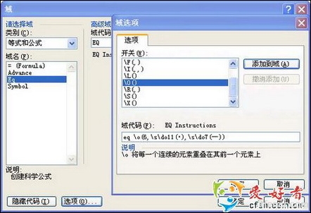 Word中巧妙插入EQ域代码