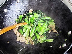 椒油口蘑小油菜