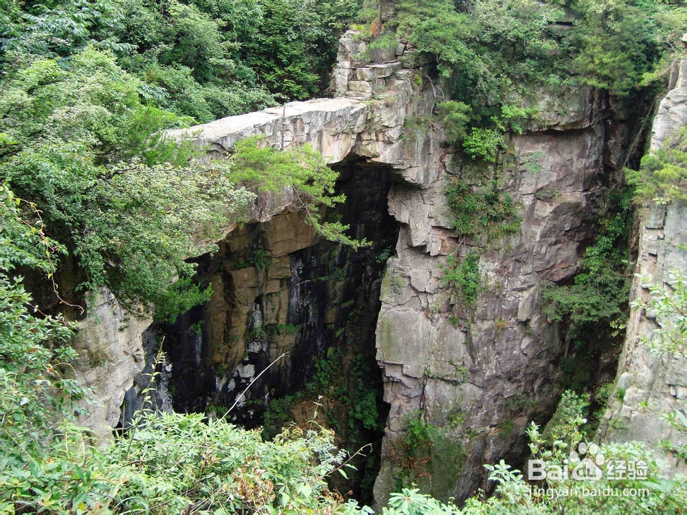 东莞到张家界旅游攻略