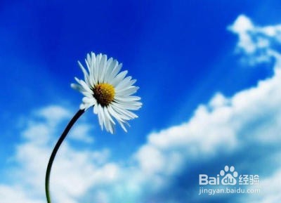 付出宽容,收获健康和和谐。