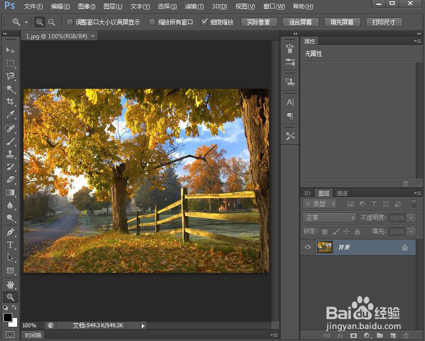ps 2019给图片添加深色线条滤镜效果