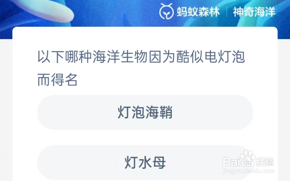 哪种海洋生物因为酷似电灯泡而得名?