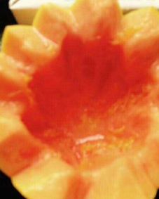 如何做红枣木瓜炖奶