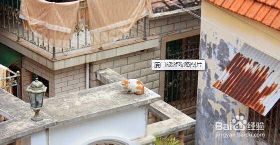 厦门自助游攻略：[2]落地篇