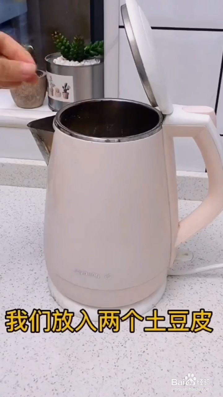 如何清洁水壶的水垢？