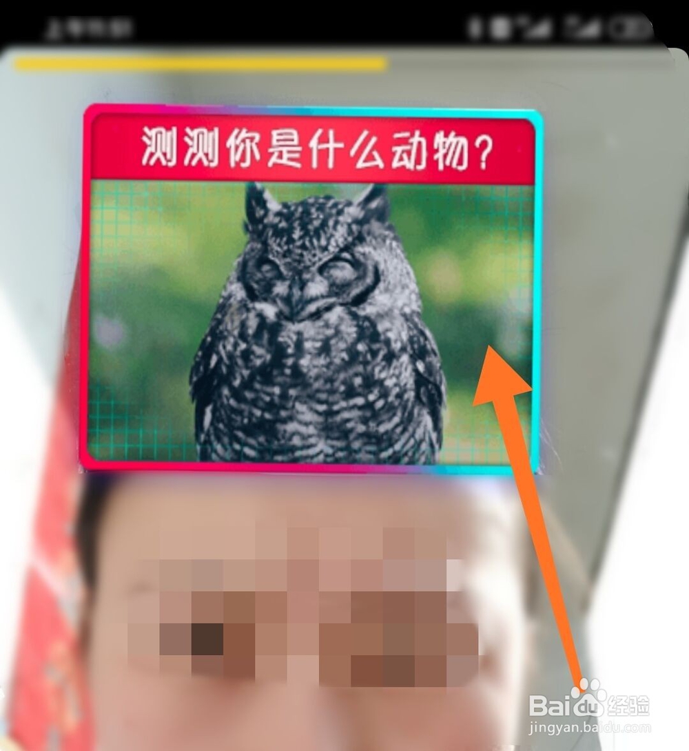 抖音怎么拍测测你是什么动物特效视频