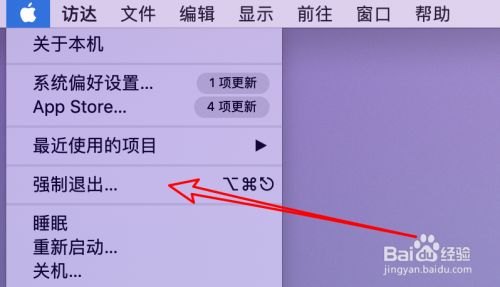 苹果电脑mac怎么打开任务管理器？