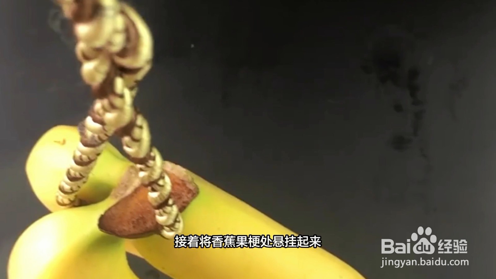 香蕉催熟的方法