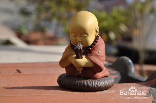 养茶宠的秘诀和步骤以及各种茶宠寓意