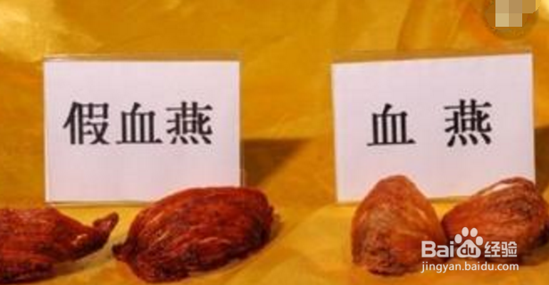 真假血燕有何不同 真假血燕鉴别有五招