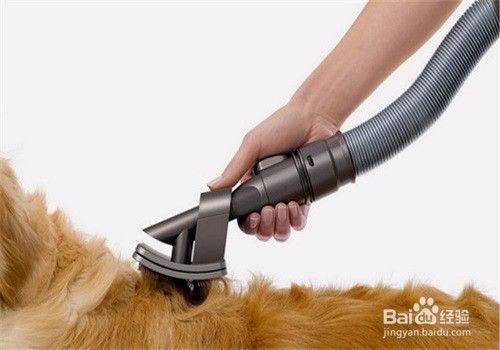 宠物毛发的清理方法