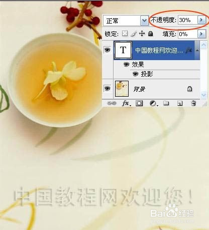 Photoshop制作图片透明水印教程